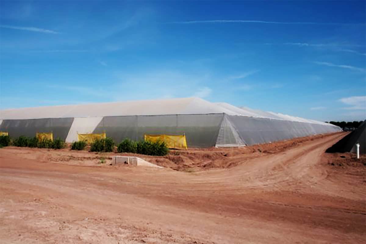 About Us Marengo Foods